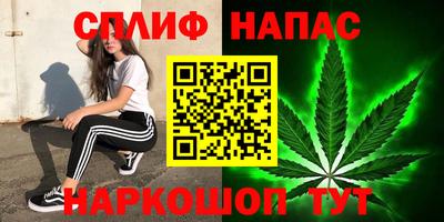 прущие грибы Лесосибирск