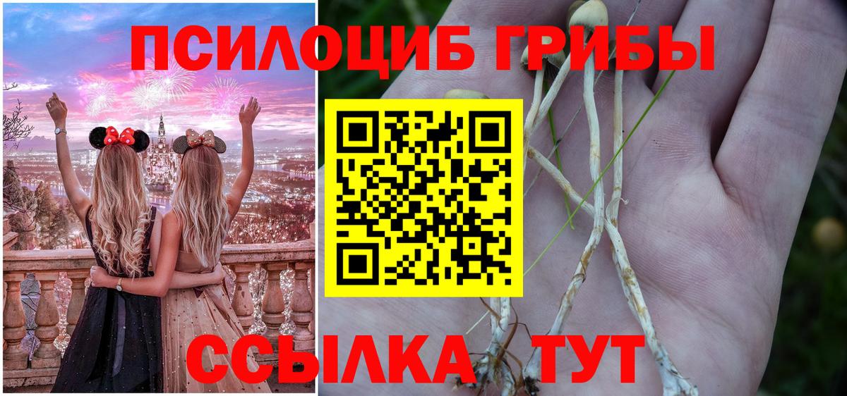 Галлюциногенные грибы Cubensis Шебекино