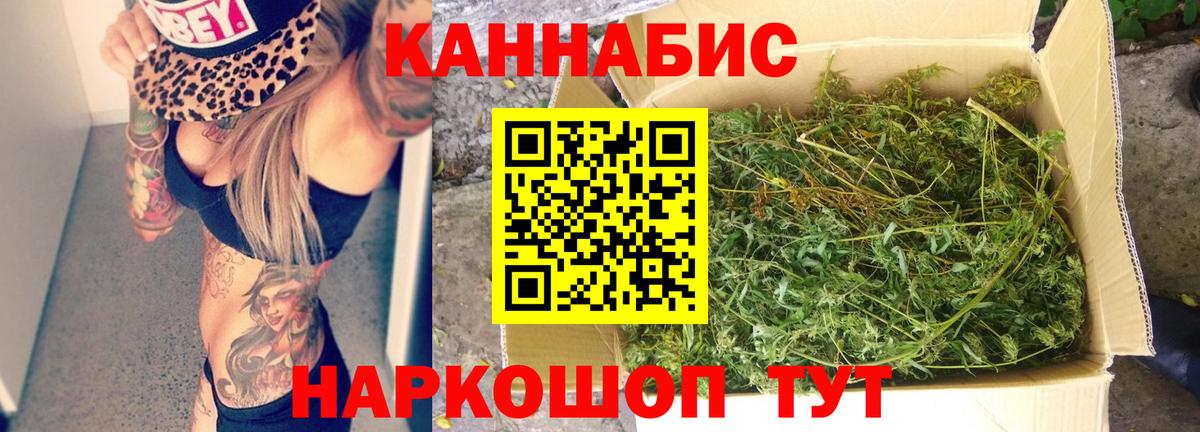 Канабис Bruce Banner  Бошки Шишки ГИДРОПОН  Шебекино  Вход с VPN 